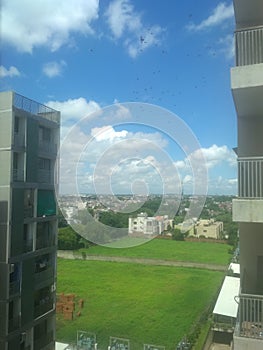 Portrait of the cloudy blue sky withÂ  flock of birds and green farm in india